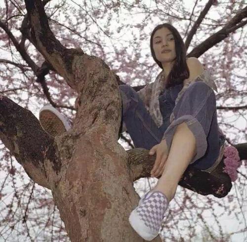 平田薰（饰 关原妙） - 音乐MV高清在线观看 - 云端观影